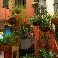 Ayenda Habana Vieja 1221 Medellín