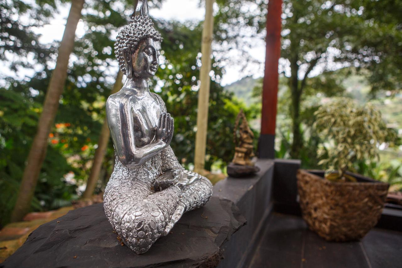 The Secret Buddha *