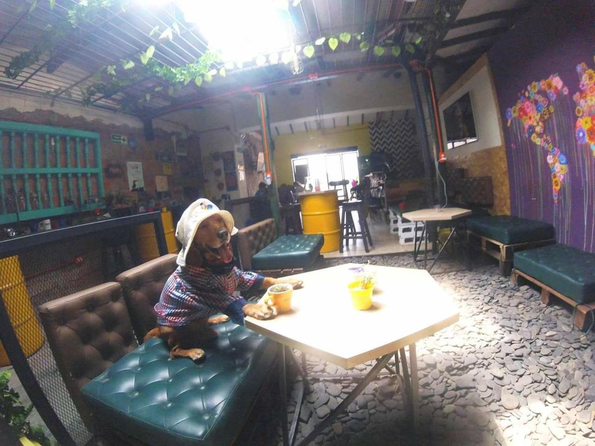 Hostal Panela