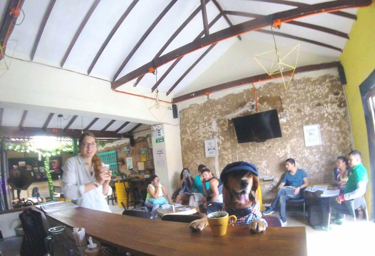 Hostal Panela Medellín