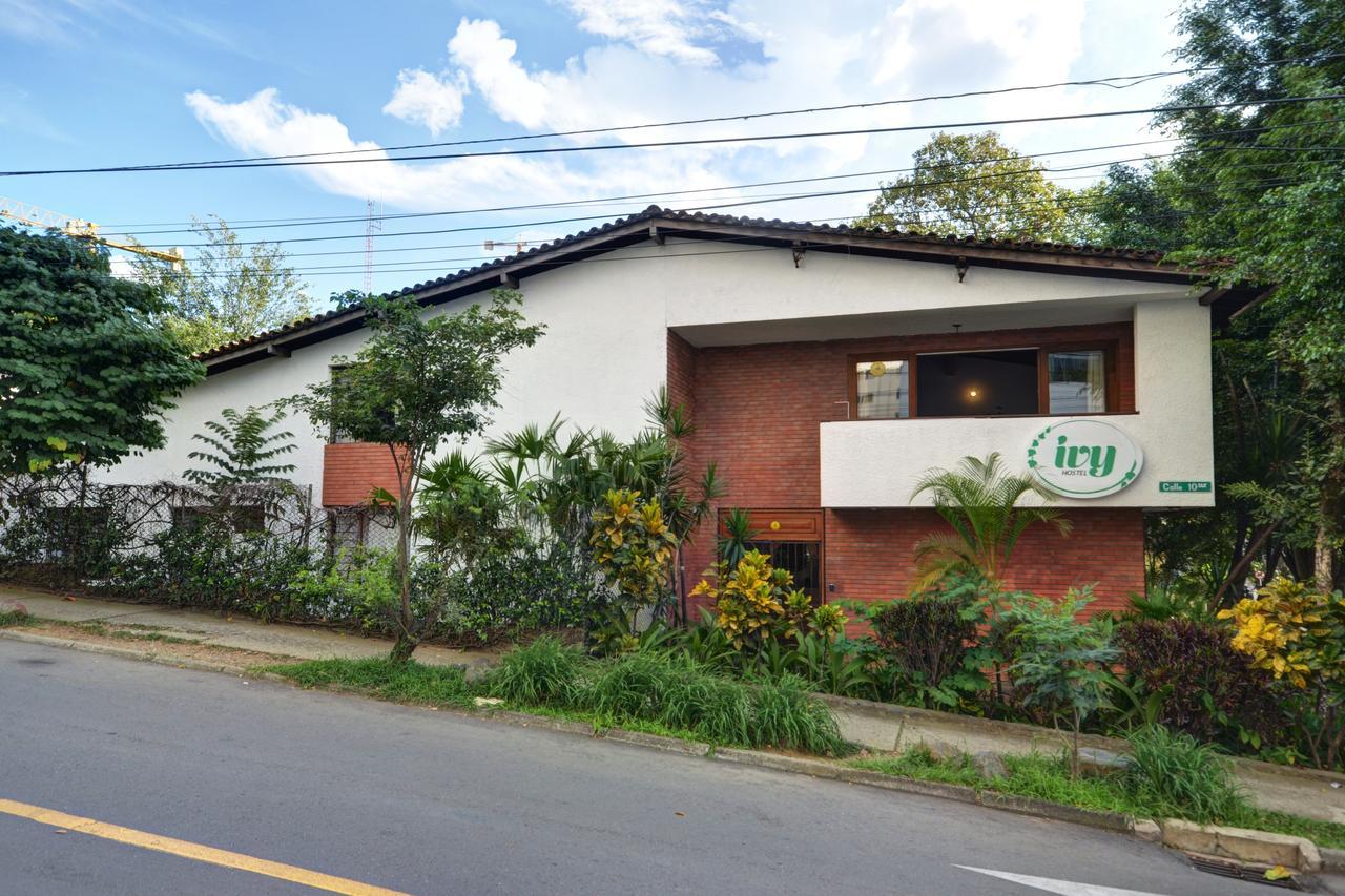 Ivy * Medellín