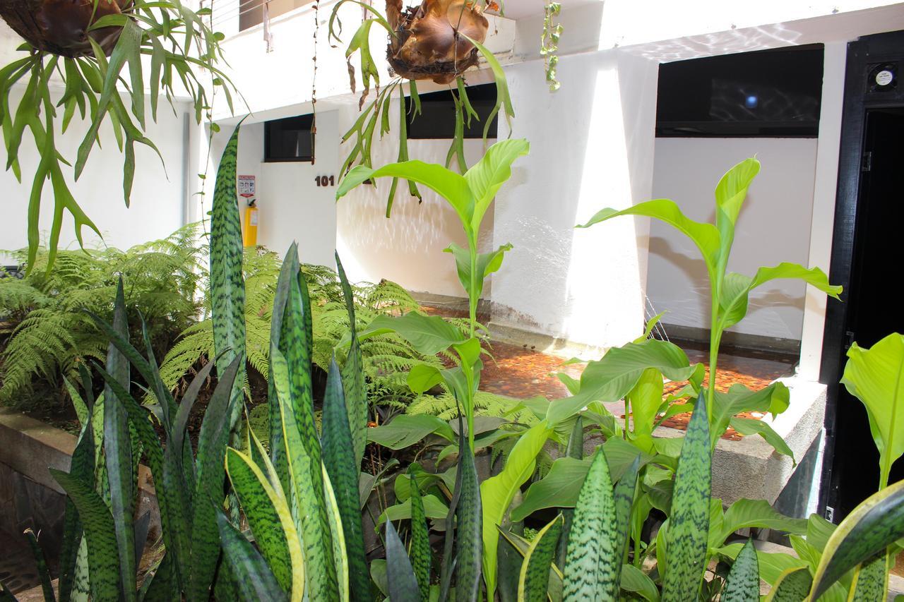Hotel Natural