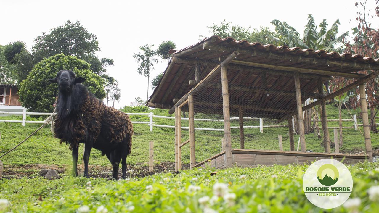 Eco Bosque Verde 4* Medellín