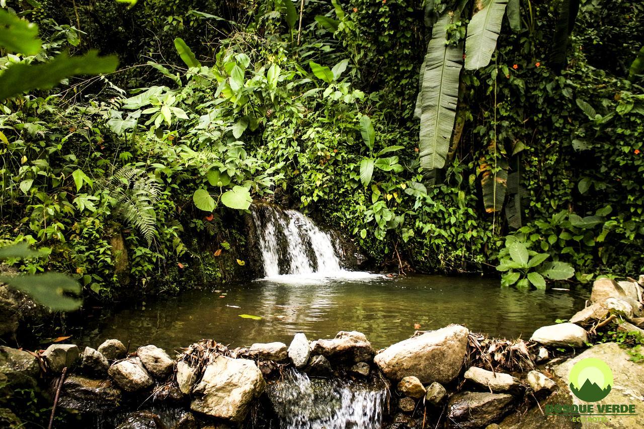 Eco Bosque Verde 4*