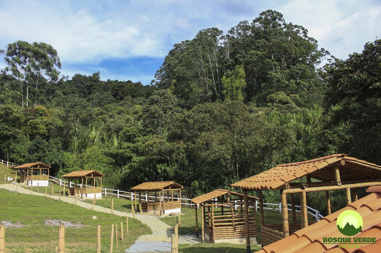 Hotel Eco Bosque Verde Medellín