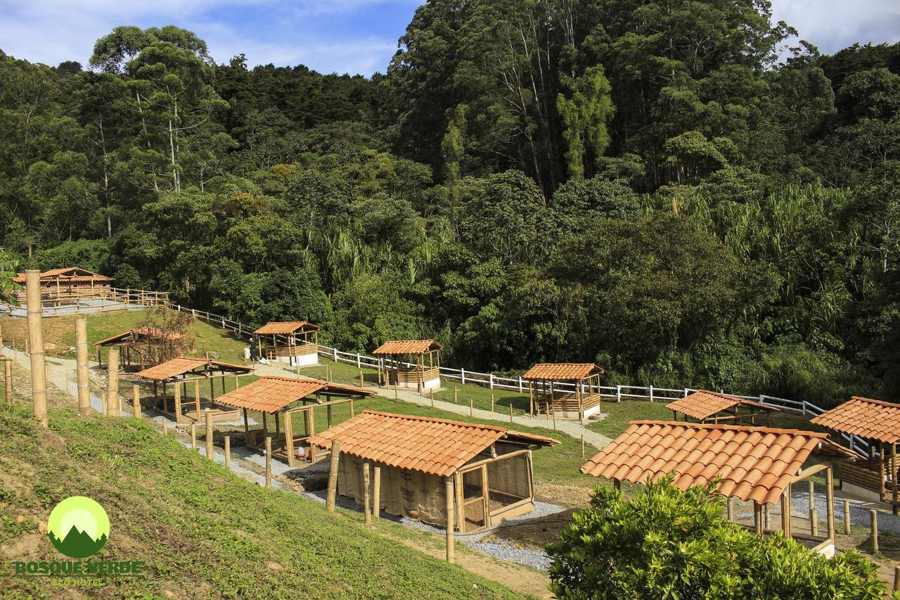 Hotel Eco Bosque Verde 4*
