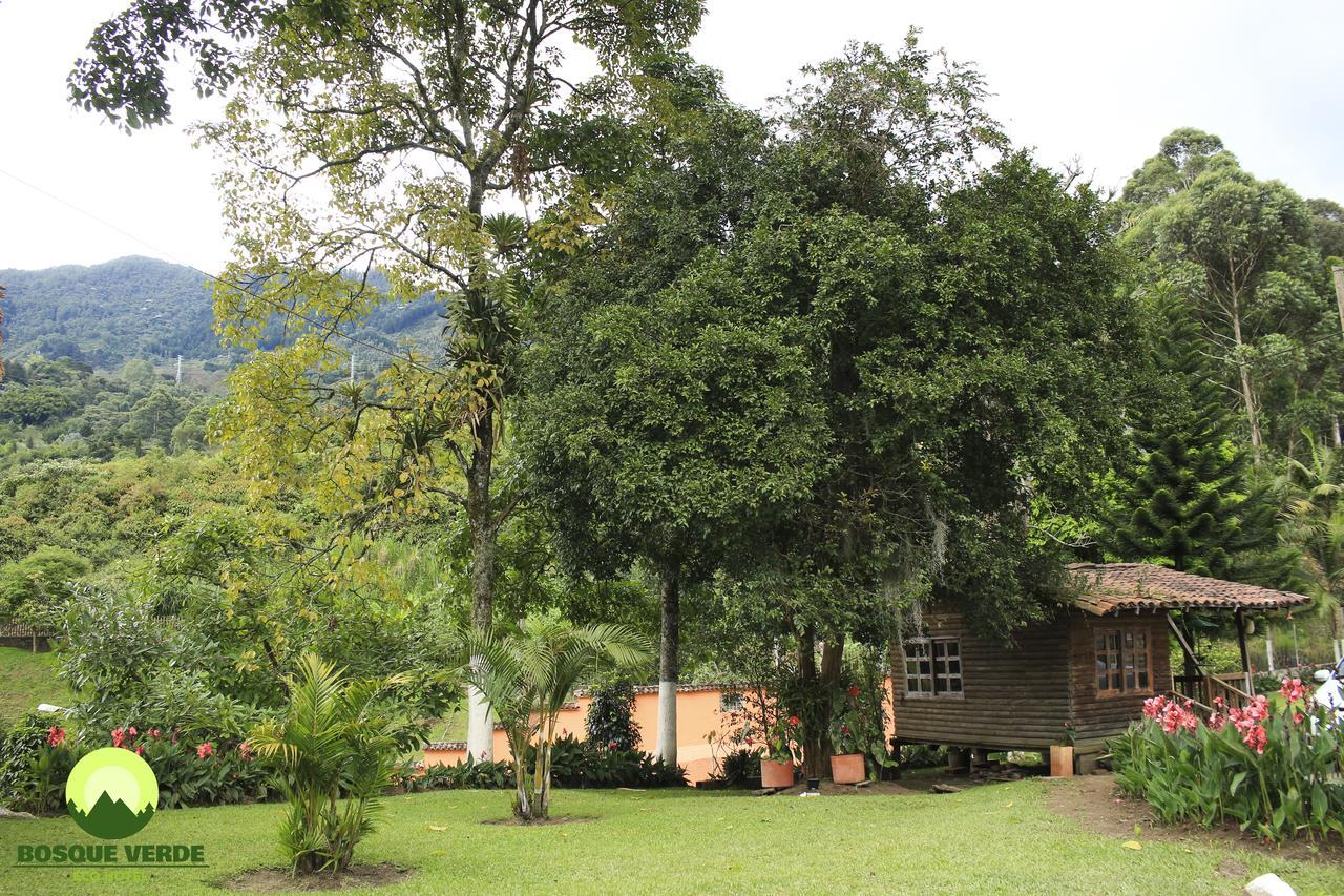 Eco Bosque Verde 4*