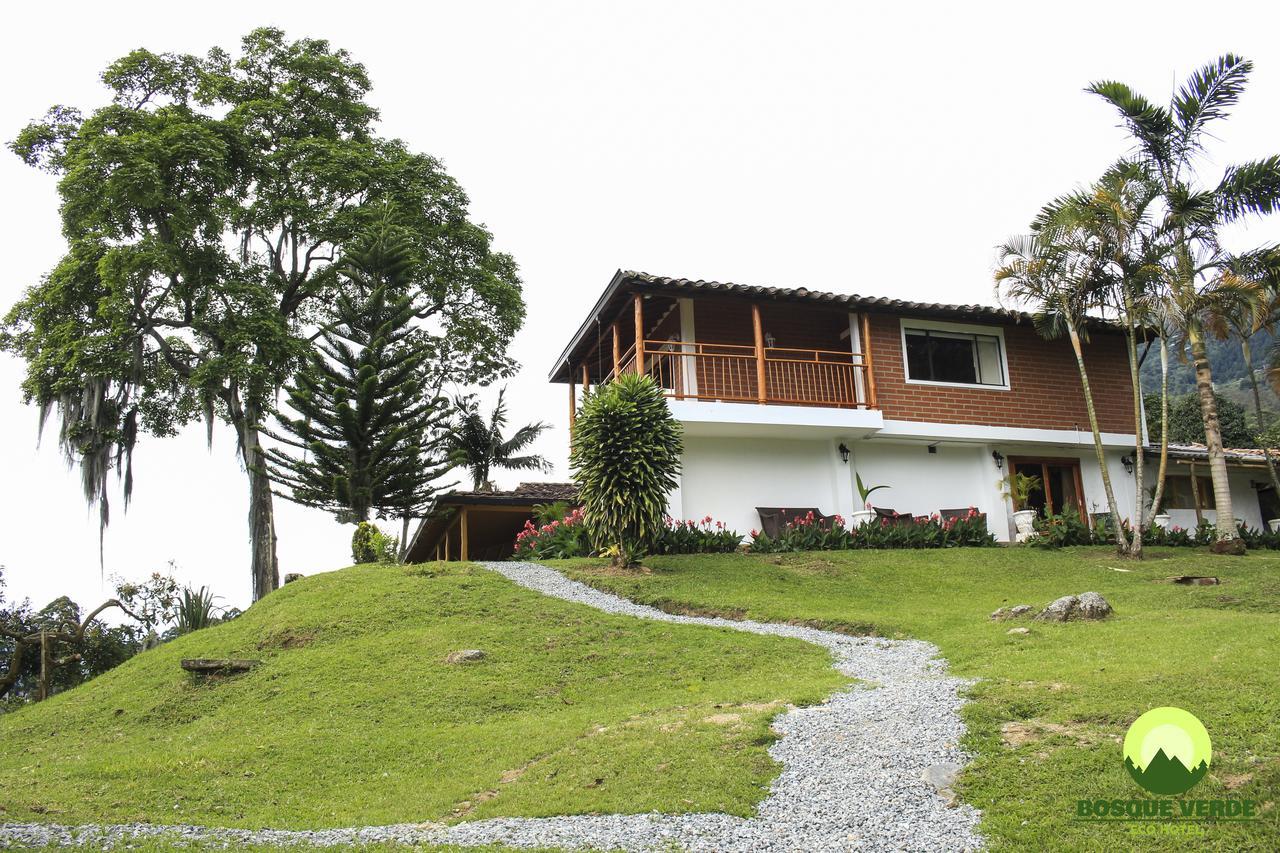 Eco Bosque Verde