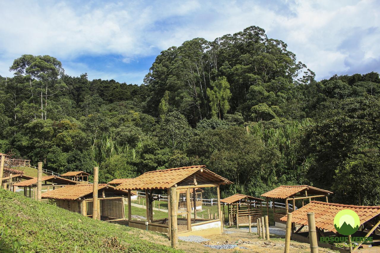 Eco Bosque Verde Hotel Medellín