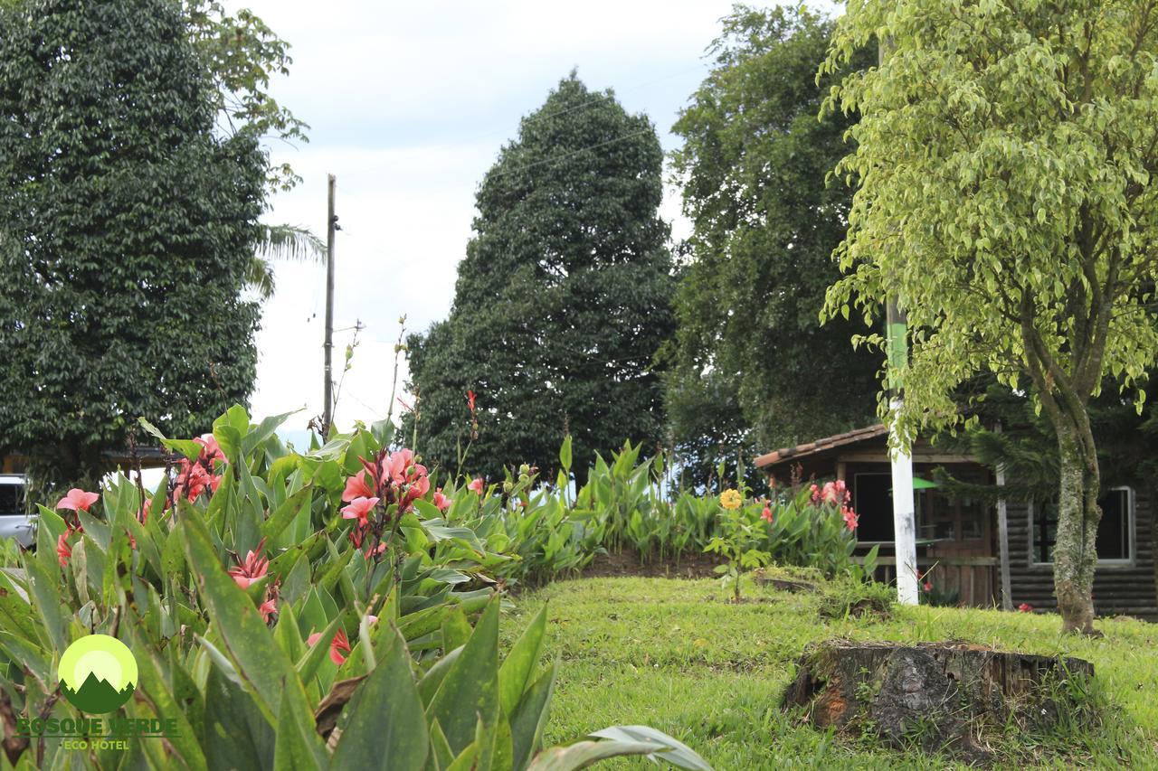 Hotel Eco Bosque Verde Medellín