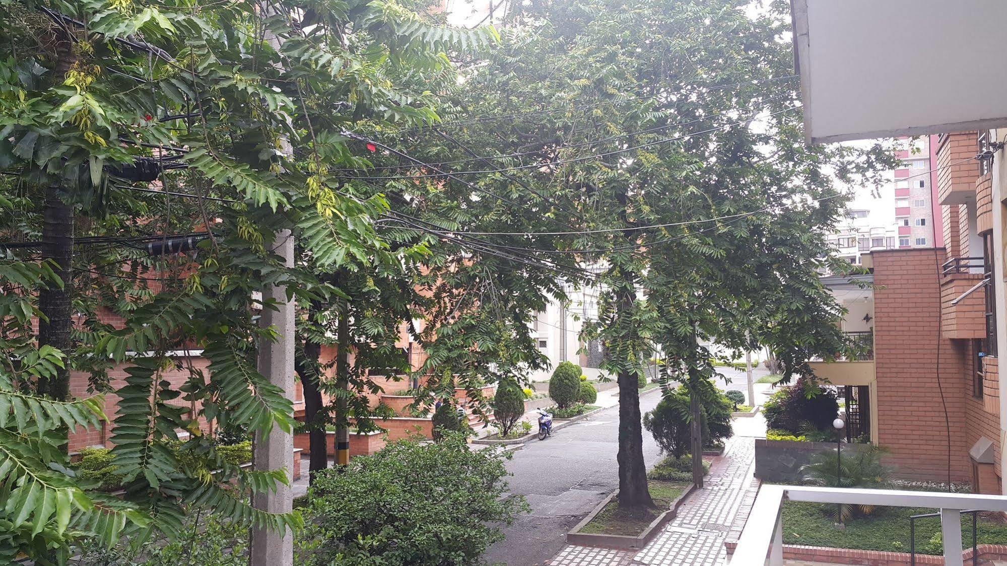Hostal Hill