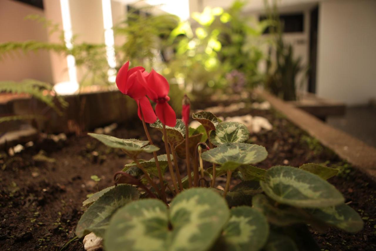 Natural Hotel