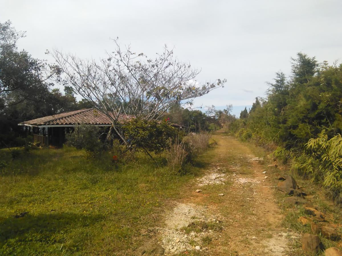 Rural Misia Emilia Medellín