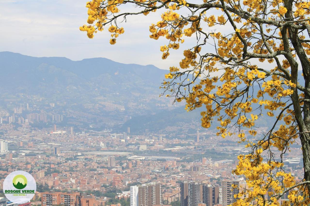 Eco Bosque Verde 4* Medellín