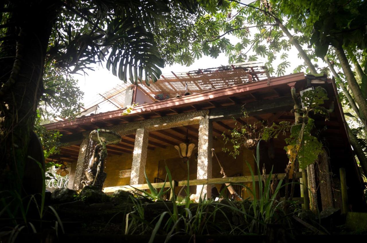 Lodge The Secret Buddha Medellin