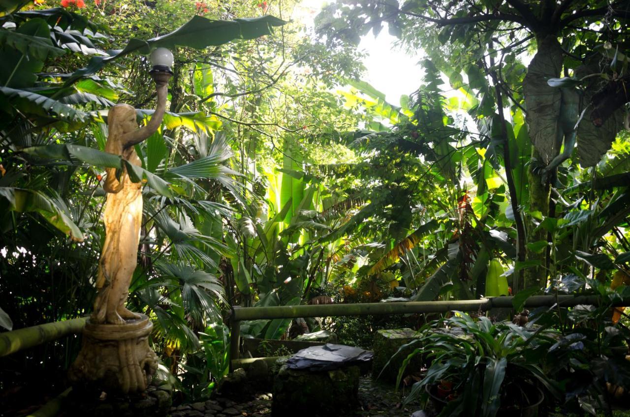 Lodge The Secret Buddha Medellin