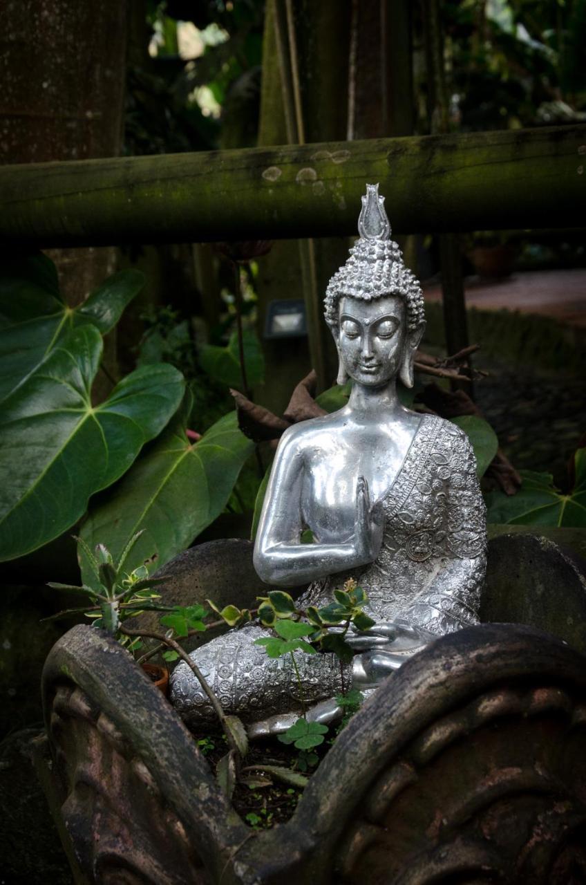 The Secret Buddha *