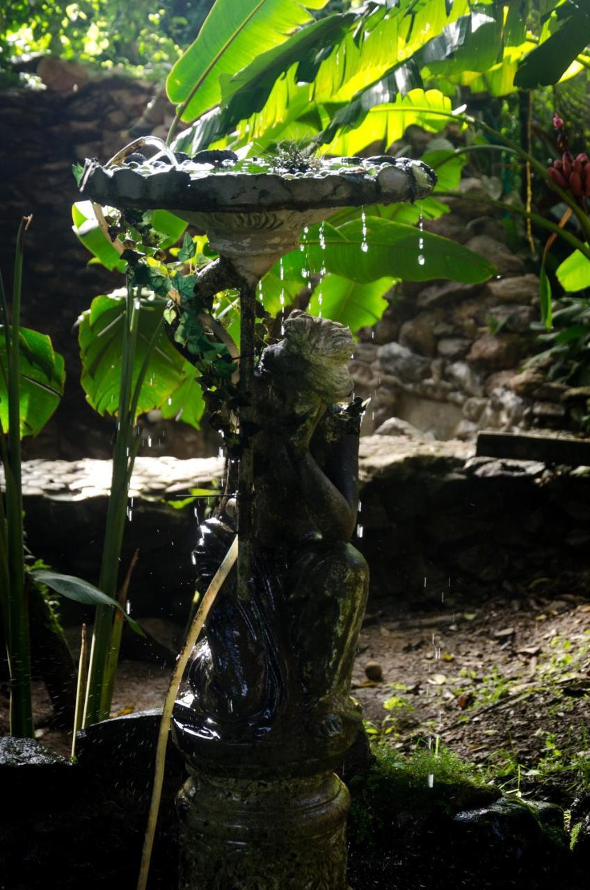Lodge The Secret Buddha *
