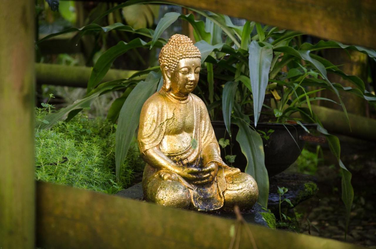 Lodge The Secret Buddha Medellin