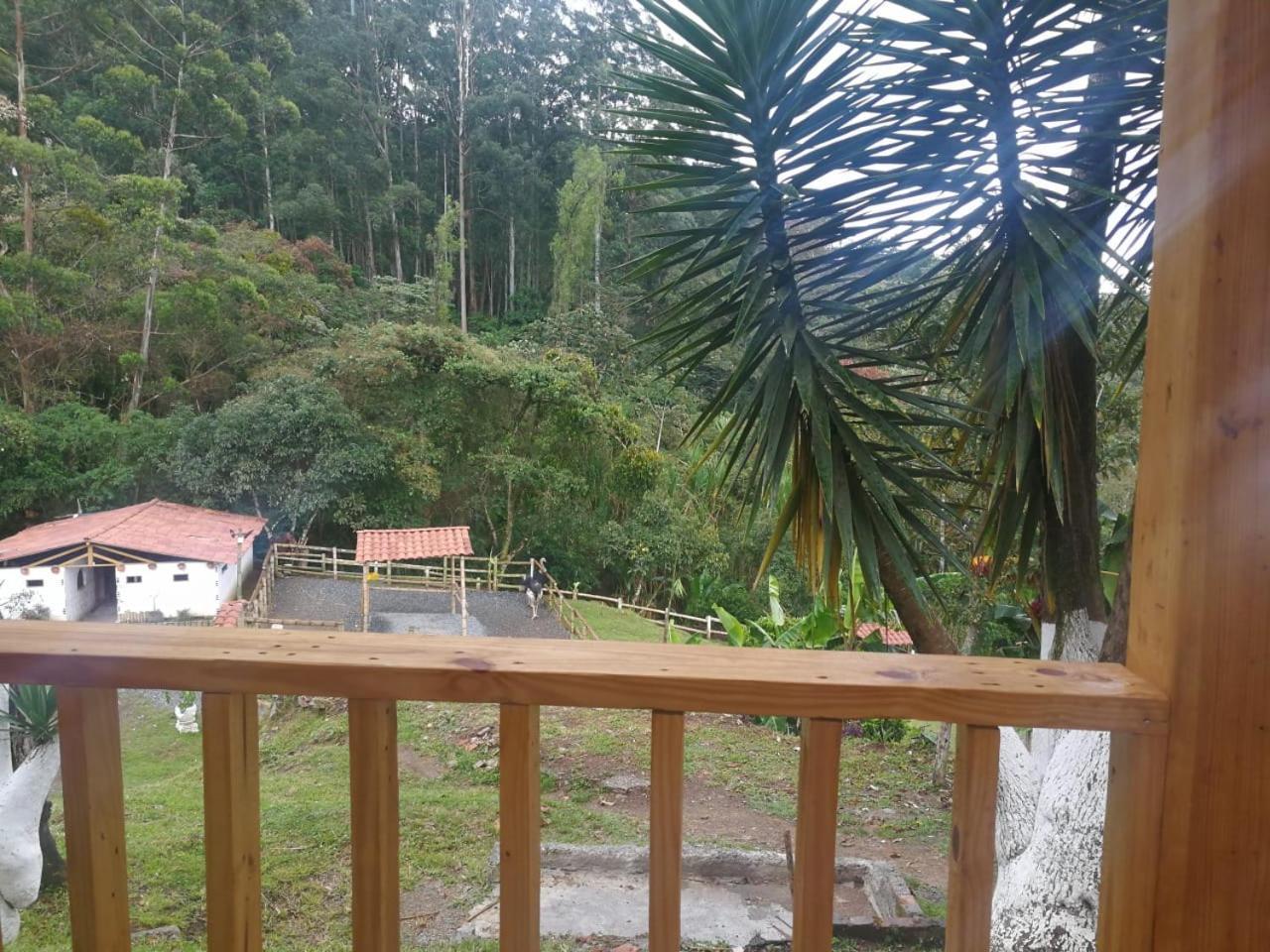 Hotel Eco Bosque Verde 4*
