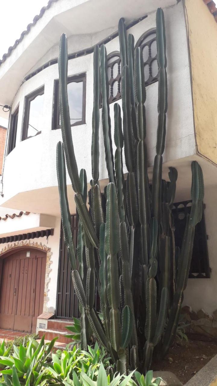 Pensión Calibrí, La Casa Libre Del Río Medellín
