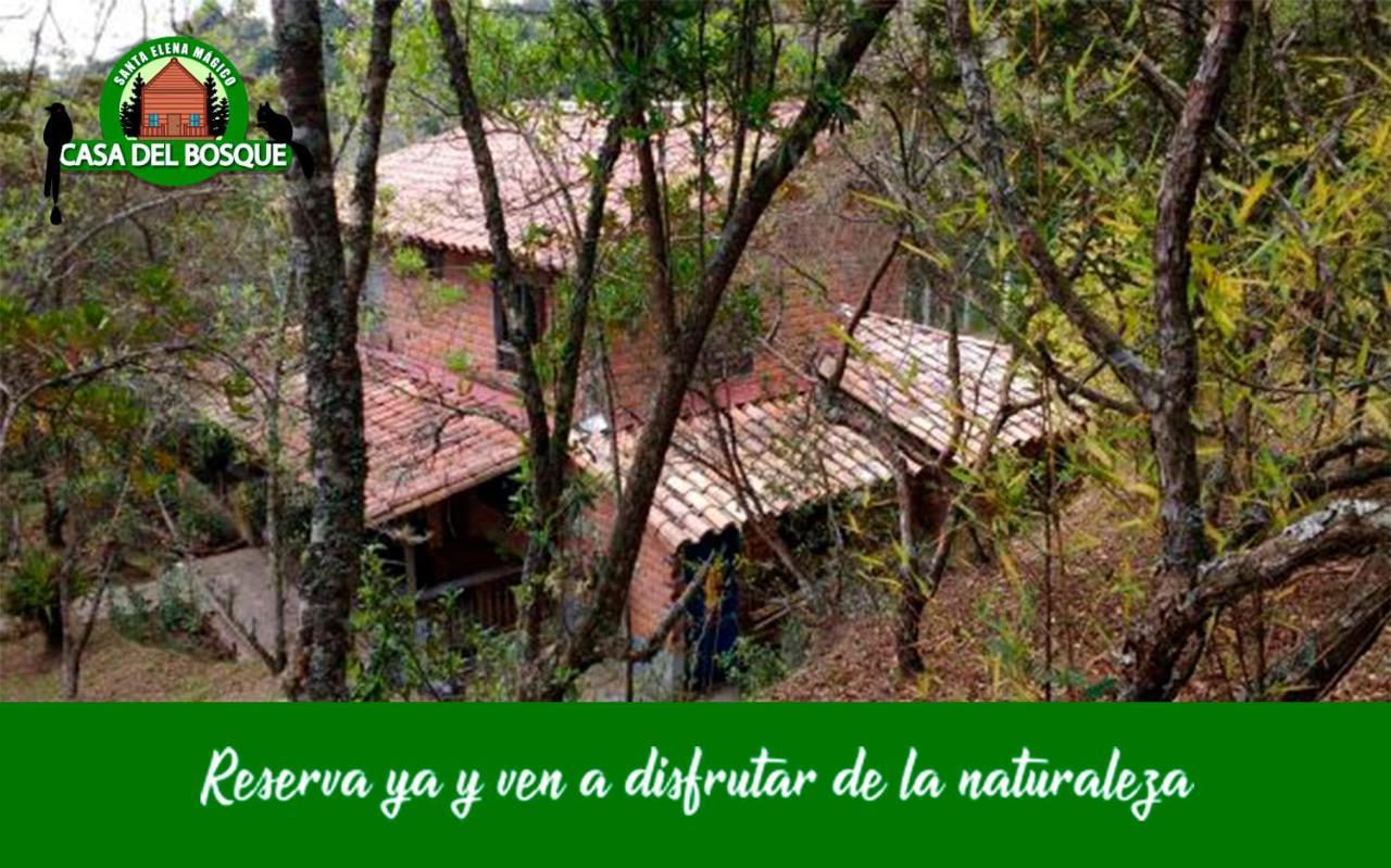 Casa Del Bosque * Medellín