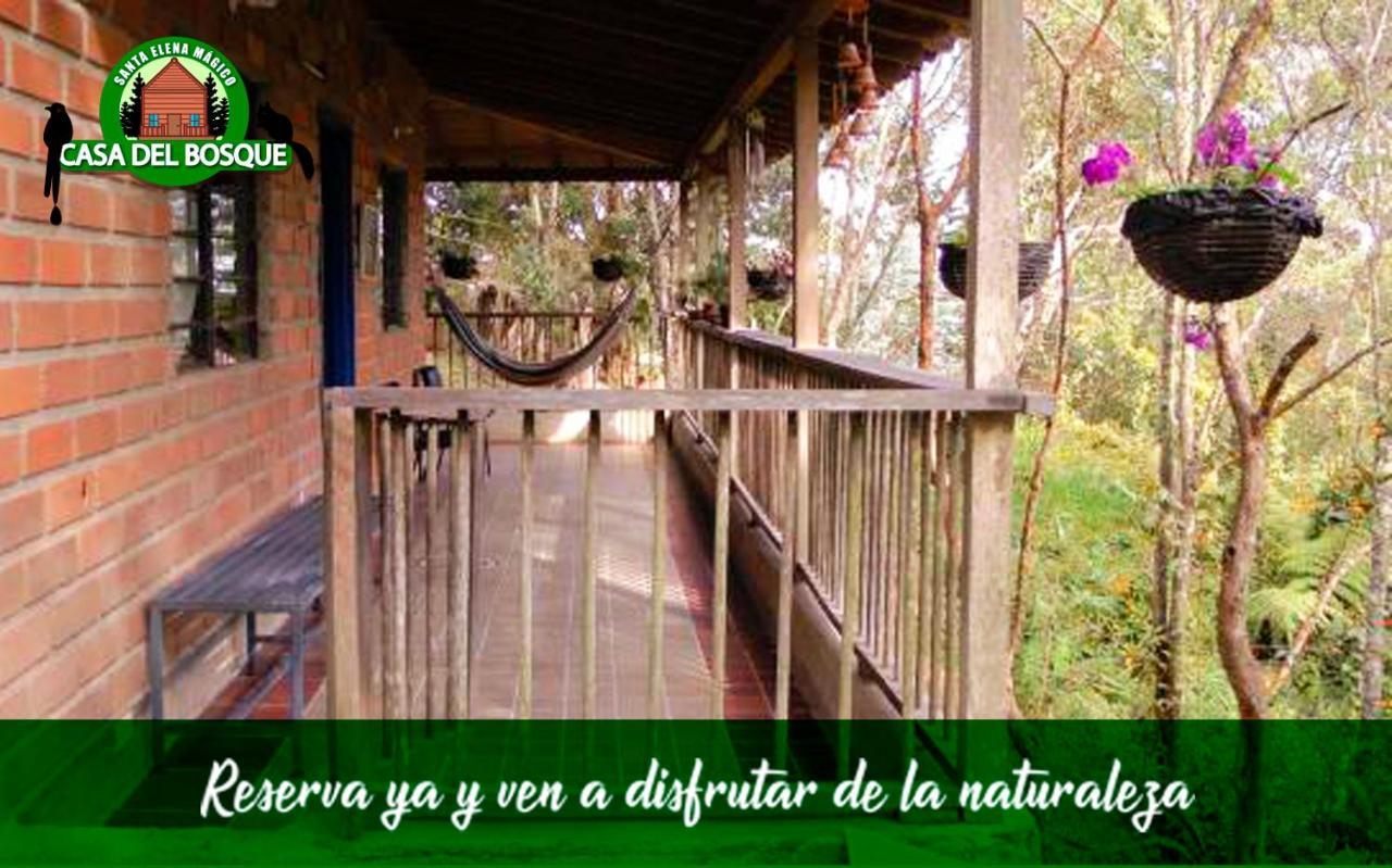 Casa Del Bosque *