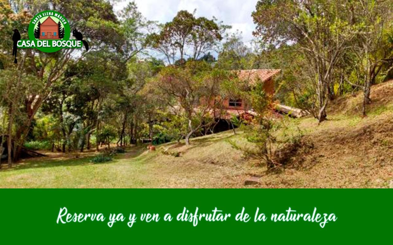 Casa Del Bosque