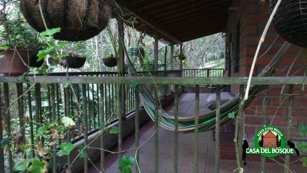 Casa Del Bosque Pensión Medellín