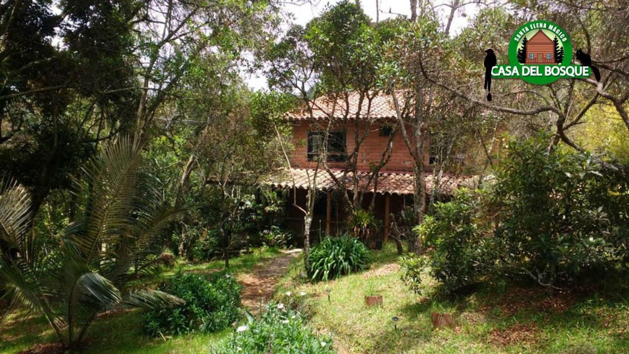 Pensión Casa Del Bosque Medellín