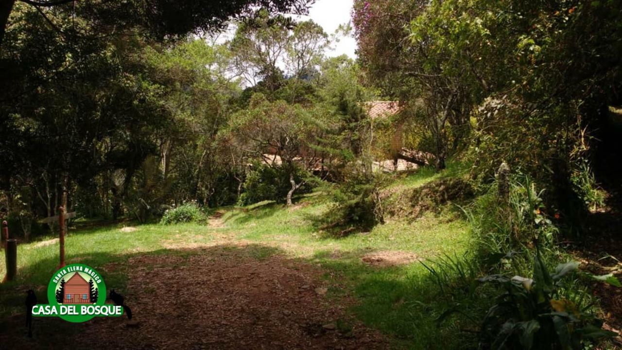 Casa Del Bosque Pensión