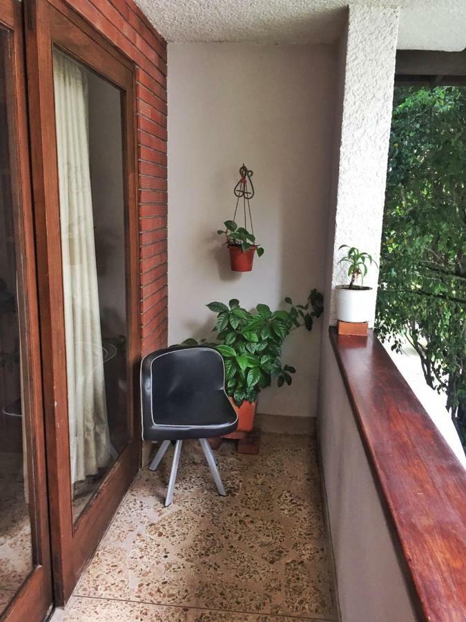 Ivy