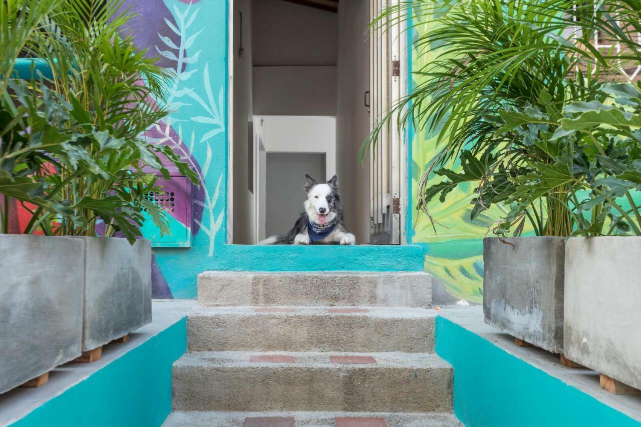 Hostal Gastón Coliving