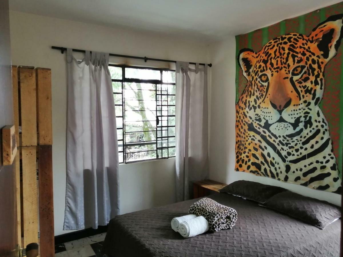 Hostal Selvática Medellín