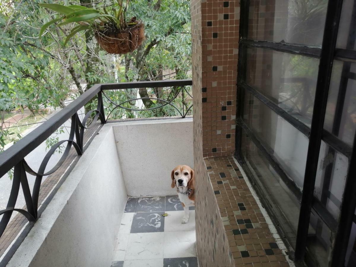 Selvática Medellín