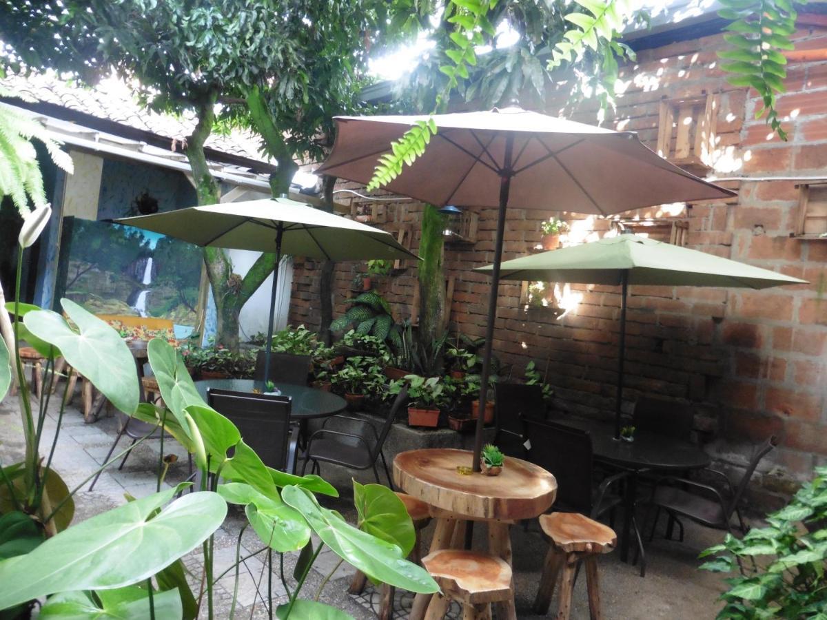 Pensión El Jardin De La 10