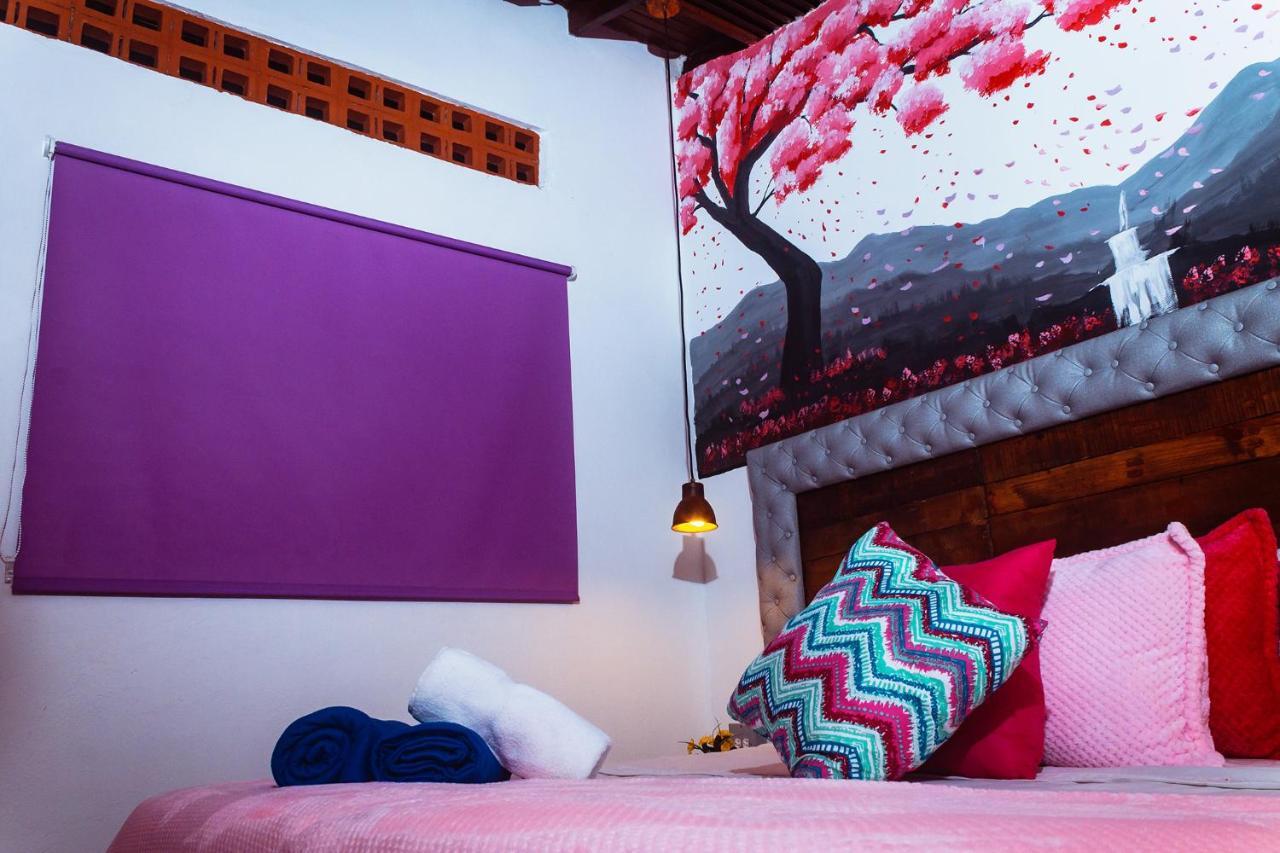 Hostel Boutique Provenza