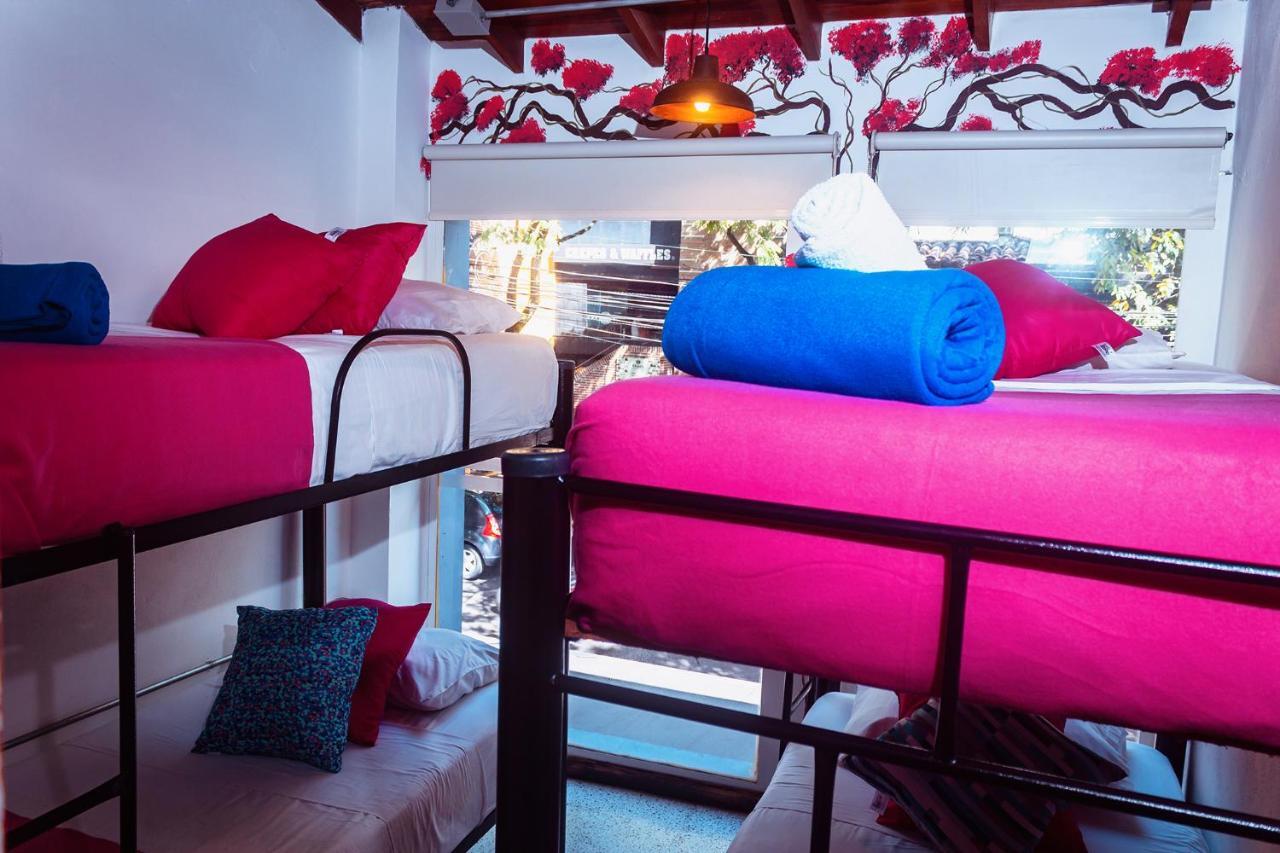 Hostel Boutique Provenza *