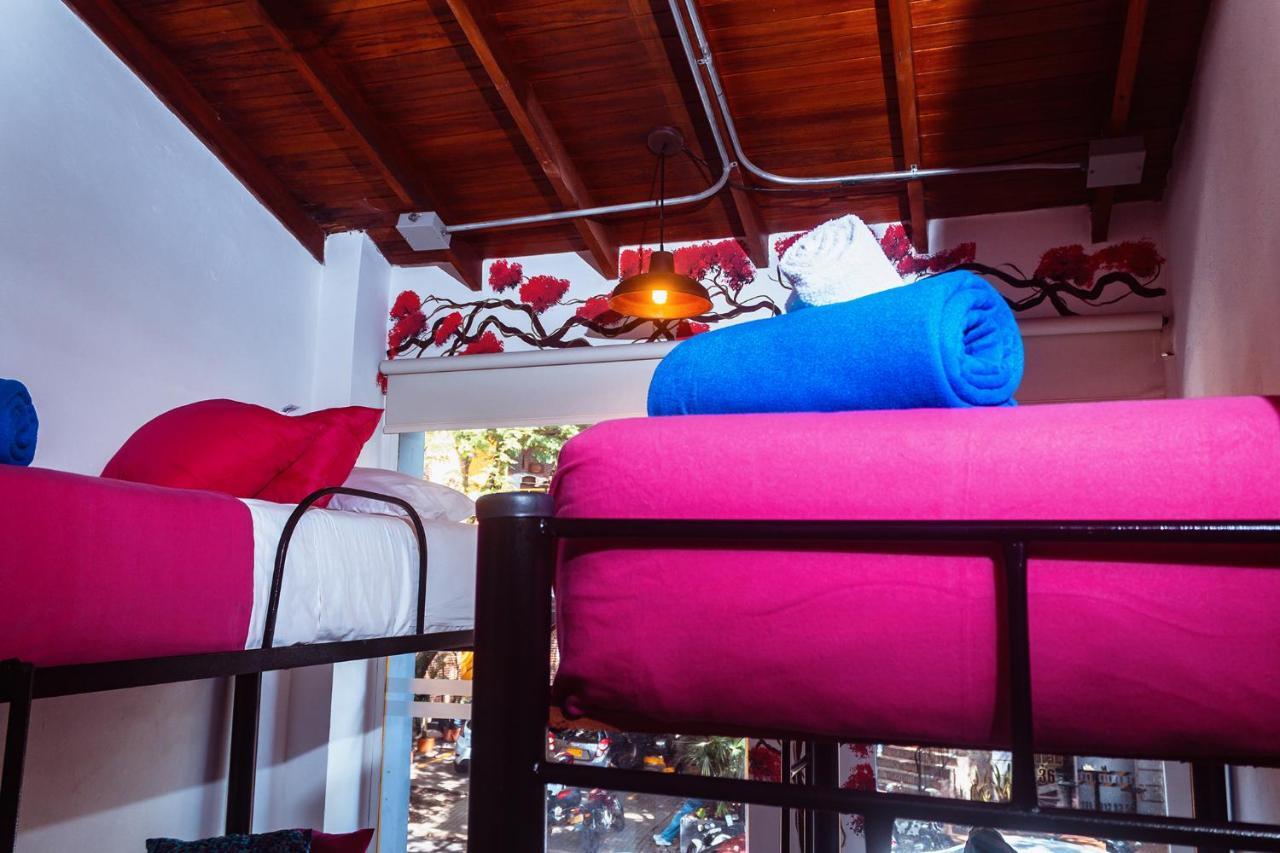 Boutique Provenza