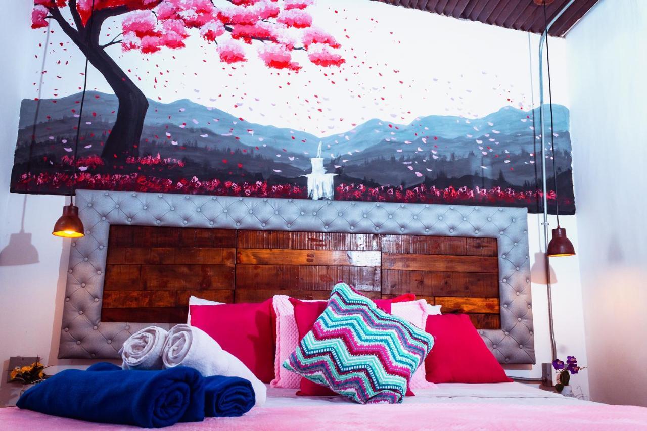 Boutique Provenza Hostel