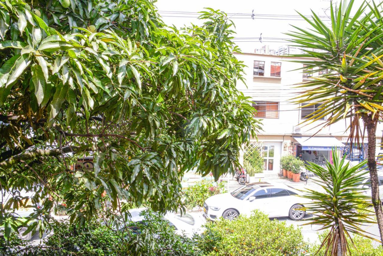 El Jeffe Medellín
