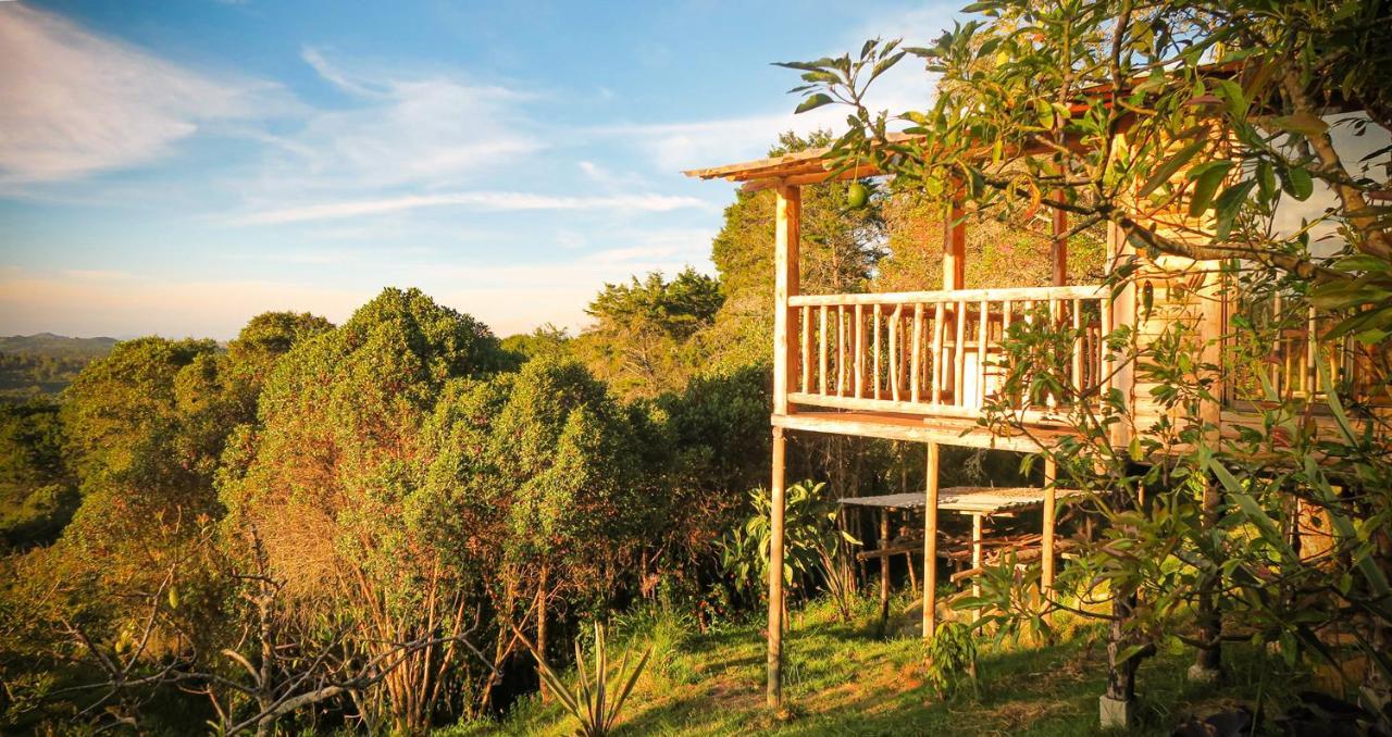 Nanatu Spacious Peaceful Cabin In Parque Arvi * Medellín