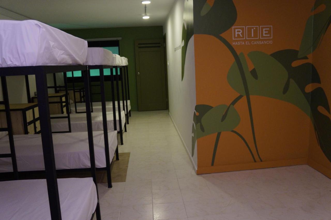 Serendipity Boutique Hostal