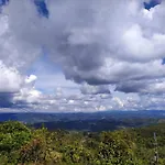Terravista