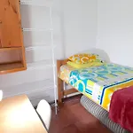 Hostal Saveva Para Grupos Familias Estudiantes Y Deportistas