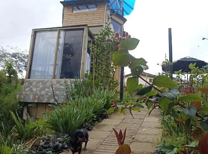 Cabana Chakana