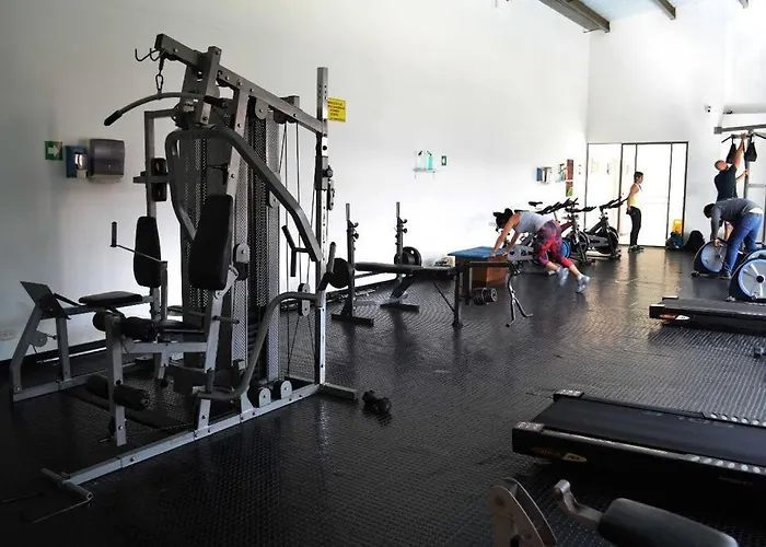 Entre Palmas De San Diego 6 Pax