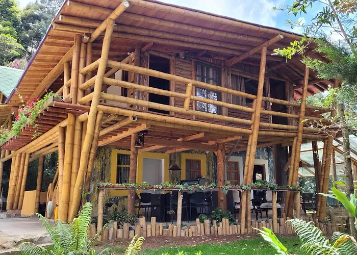 Refugio en el Bosque