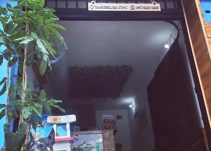 Natural House