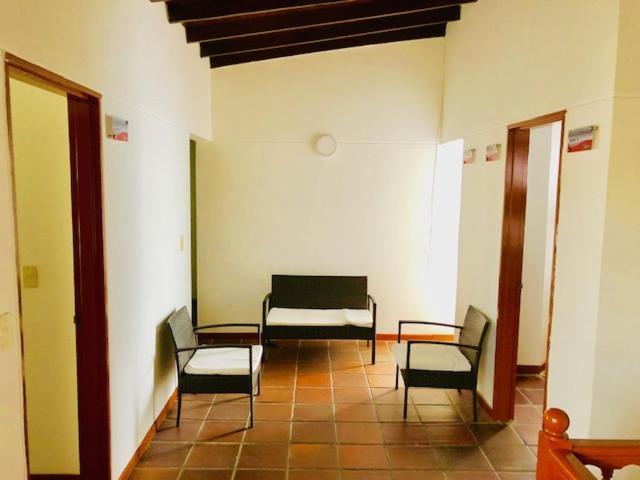 Palmas Del Estadio 2 *